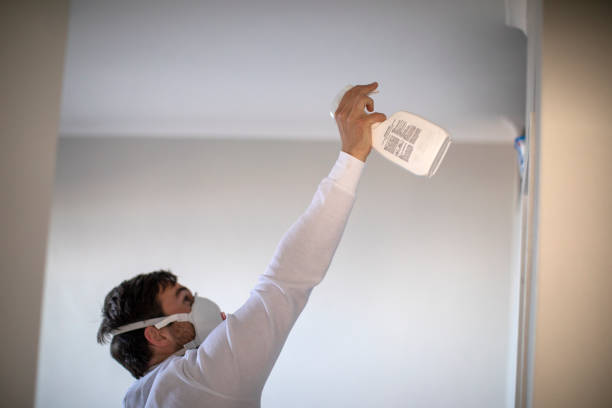 Best Fast Mold Removal  in Edgewood, OH