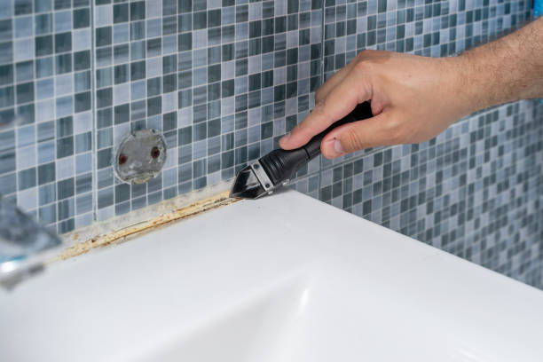 Best Mold Testing  in Edgewood, OH