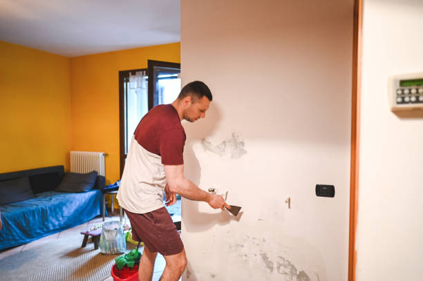 Best Toxic Mold Removal  in Edgewood, OH